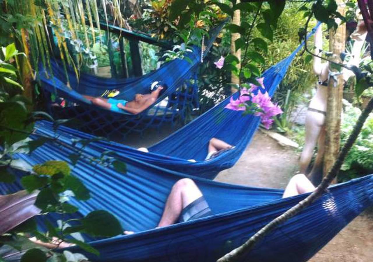 Bananas Hostel Итакаре Экстерьер фото